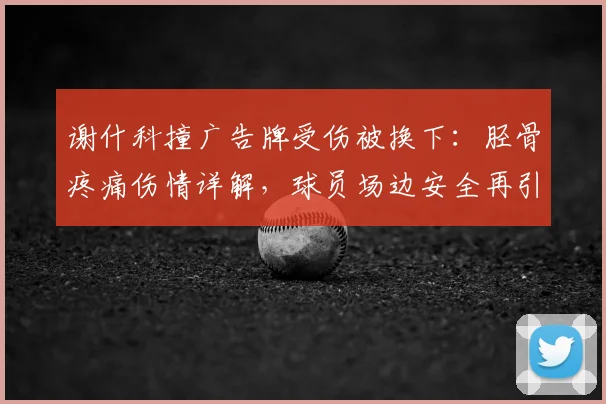 谢什科撞广告牌受伤被换下:胫骨疼痛伤情详解,球员场边安全再引关注