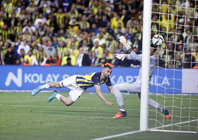 球迷需要培 球迷需要培