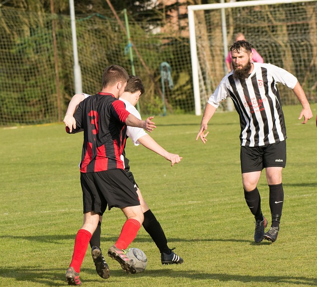 案例分析 案例分析