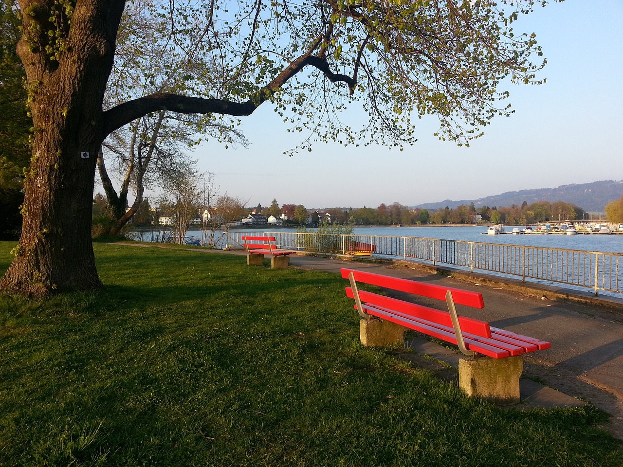 语言交流 语言交流