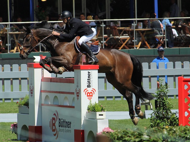 要的不仅仅 要的不仅仅