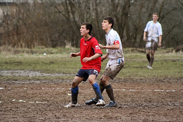 他们都能形 他们都能形