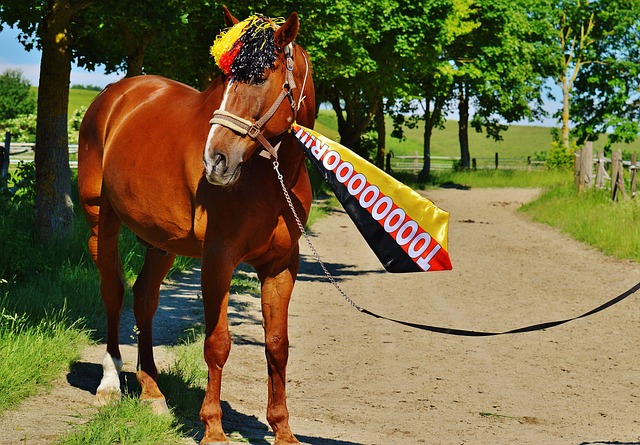 也證明他是 也證明他是