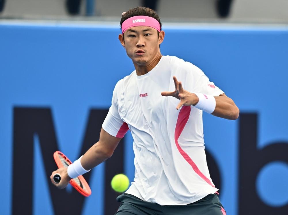 球迷和专家 球迷和专家